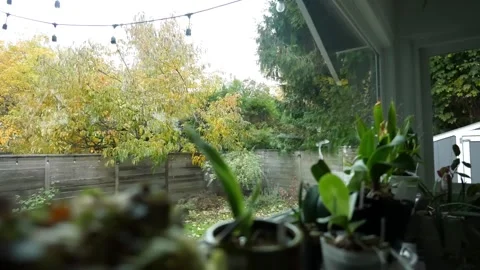 Cold rainy day with trees in the backdrop moving. Stock Footage 255105656