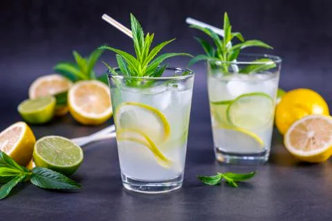 Cold refreshing summer lemonade with mint in a glass Stock Photos