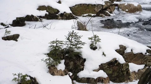 Cold river flowing Video stock 86117138