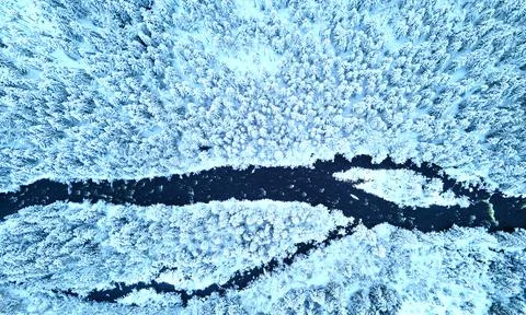 Cold river flowing through a dense snow covered pine forest. Stock Photos