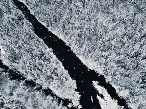 Cold river flowing through a dense snow covered pine forest. Stock Photos