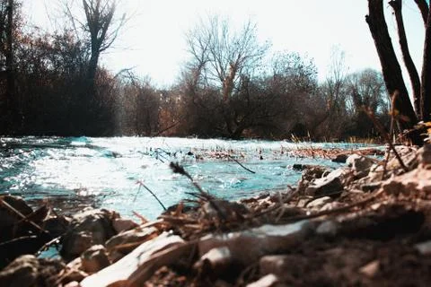 Cold river flowing in the winter , tree growing from inside it Stock Photos