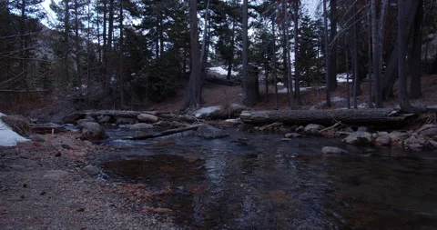 Cold River flows through a Winter Forest 库存影片 162286100