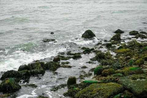 Cold river rocks Stock Photos