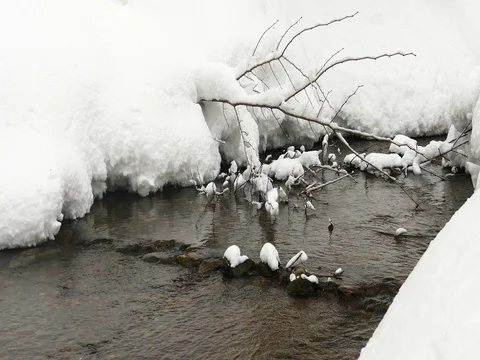 Cold River with Snow Stock Footage 73546933