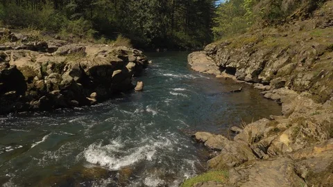 Cold rushing river water through pacific northwest landscape Vidéo 107900710