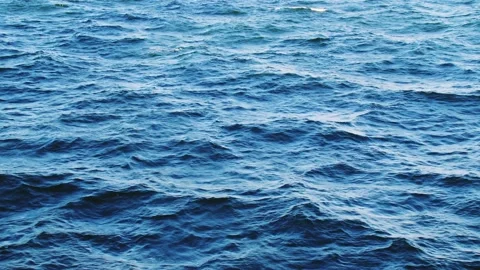 Cold sea waves Stock Footage 220830821