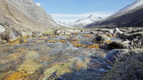 Cold shallow water creek flows over wet gray stones nearby snowy mountain range Stock Footage 167324642
