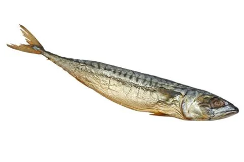 Cold smoked mackerel.isolated. Stock Photos