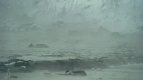 Cold smoky river in winter. River rapids with stones and water birds. Stock-Footage 193690109