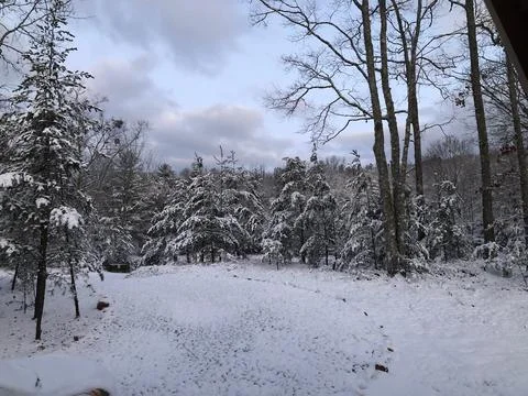 Cold Snow Day Stock Photos