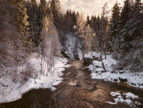 The cold snow winter river in evening light Stock Photos