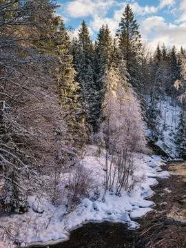 The cold snow winter river in evening light Stock Photos