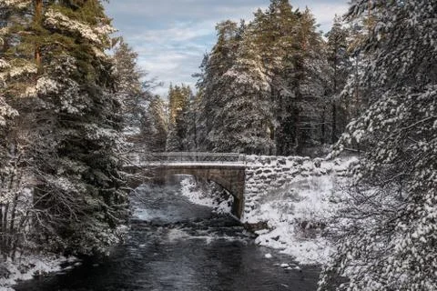 The cold snow winter river in evening light Stock Photos