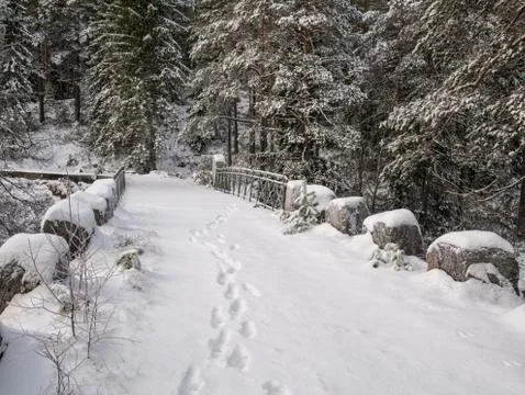 The cold snow winter river in evening light Stock Photos