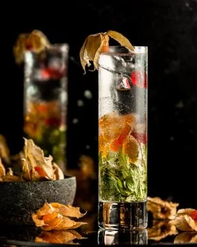 Cold sparkling lemonade with mint and fruits Stock Photos