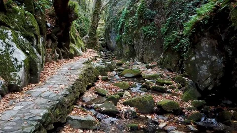 Cold spring flowing inside the woods between the rocks, su01 Stock Footage 106492587