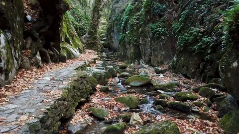 Cold spring flowing inside the woods , su01 Stock Footage 106492654