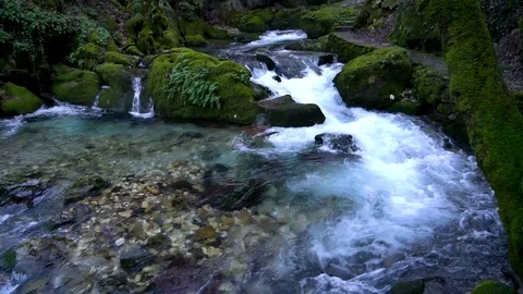 Cold spring flowing inside the woods, su01 Stock Footage 106625494