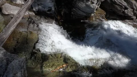 A cold stream flowing in full natural force in the High Tatras in Slovakia Stock Footage 211819089