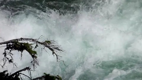 A cold stream flowing in full natural force in the High Tatras in Slovakia Stock Footage 211821116