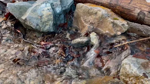 Cold stream flows away from a clean drinkable water source. 4K, Close-up. Vidéo 148453172