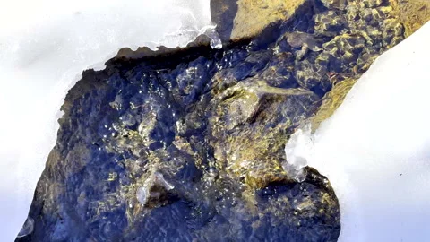 Cold stream with melting snow trickling water Stock Footage 337049015
