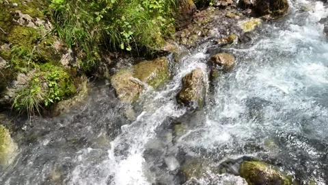 Cold stream of river water, clean mountain creek up close, pebble stones Stock Footage 284964392