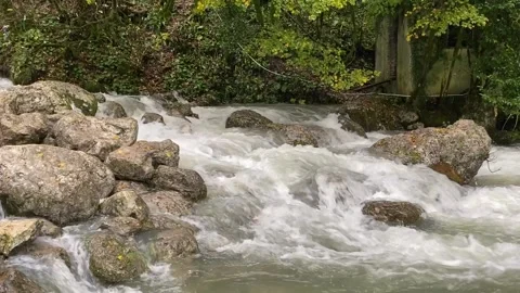 Cold stream of wild mountain river. Water running down the stones Stock Footage 282257483