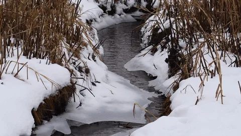 Cold stream in the winter Stock Footage 108641395