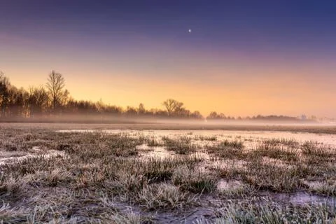 Cold Swamp Stock Photos