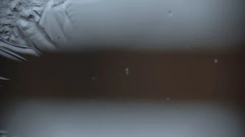 Cold temperature make pattern on the window glass from the water time lapse Stock Footage 100186668