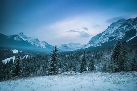 Cold trees view with mountain in background look beautiful Stock Photos