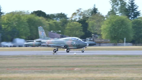 Cold war era NATO ground attack plane in green brown mimetic camouflage landing 動画素材 165921674