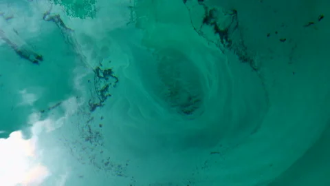 Cold water bubbles up in a cold artesian spring Stock Footage 245820452
