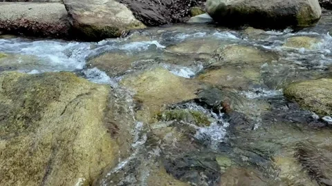 Cold water flowing over rocks Video stock 303990954