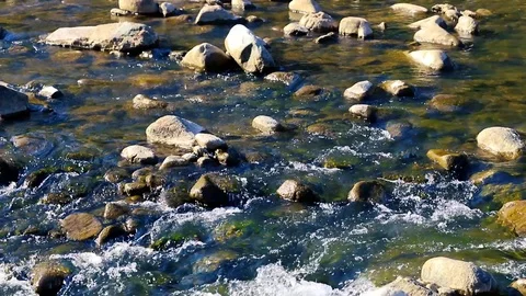 Cold water flowing in a stream Stock Footage 95217954