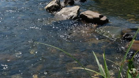 Cold water of mountain stream and stone falling in the water Stock Footage 224722159