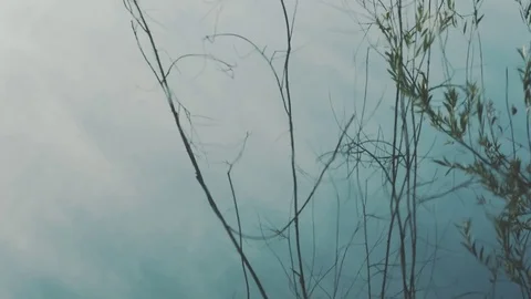 Cold water reflection background. Silent lake surface - tranquil scene. Stock Footage 80215779