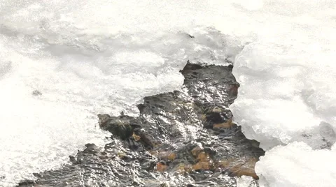 Cold water spring in winter. still camera. Stock Footage 45796145