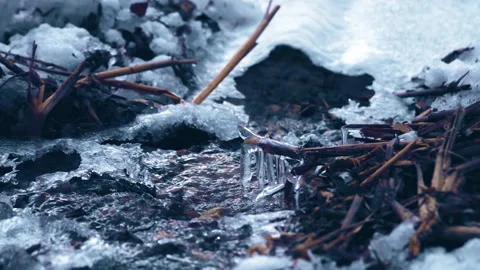 Cold Water Stream and Melting Ice Cinematic Background Video stock 150825203
