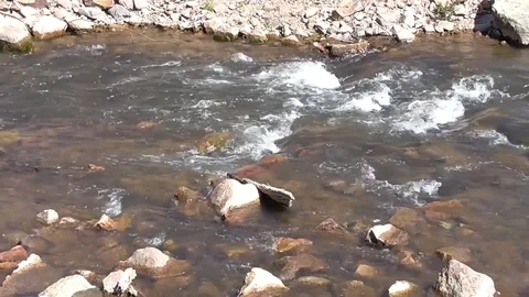 Cold Water Stream Stock Footage 77486526