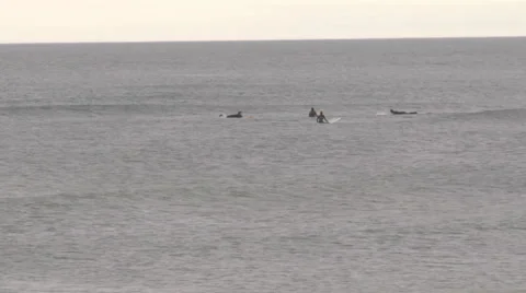 Cold water Surf 動画素材 57245189