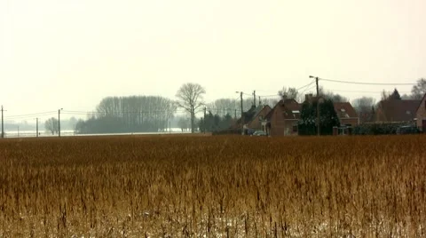 Cold weather Video stock 7733991