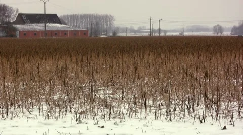 Cold weather Video stock 7734058