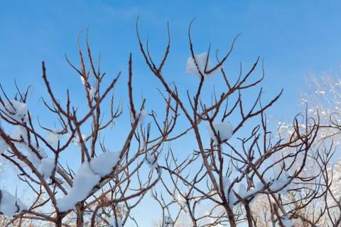 Cold weather winter Stock Photos