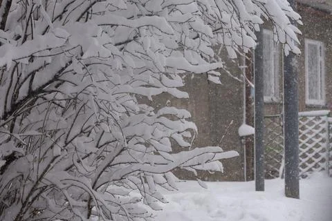 Cold weather in winter snowfall Stock Photos