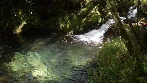 Cold Well, Serra da Canastra, Minas Gerais, Brazil Stock Footage 154812398