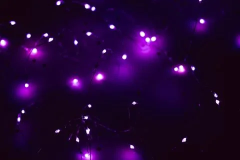 Cold white led string lights defocused purple glow Stock Photos