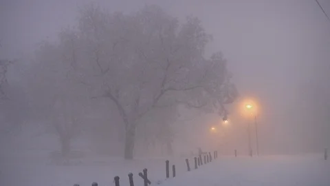 Cold winter day with fog Stock Footage 101793705